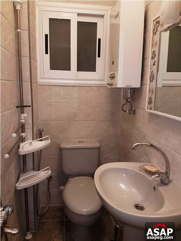 Apartment with Balcony for Rent in Zamalek Apartment with Balcony for Rent in Zamalek