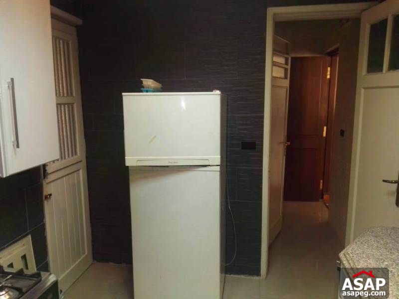 Apartment with Big Roof for Rent in Zamalek Apartment with Big Roof for Rent in Zamalek