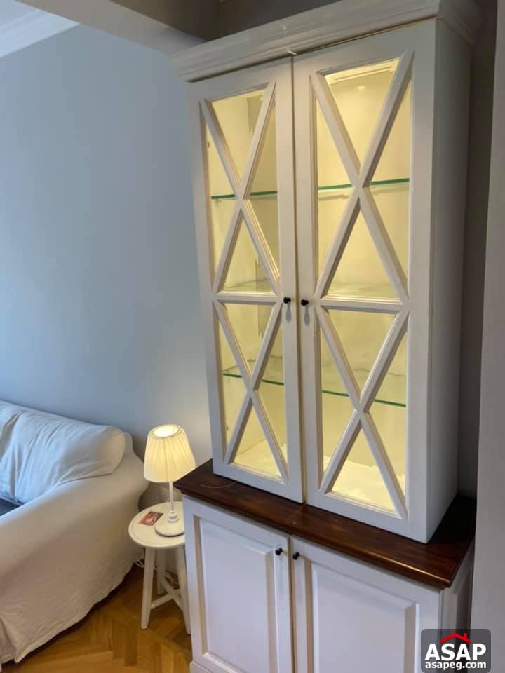 Apartment for Rent in Zamalek Apartment for Rent in Zamalek