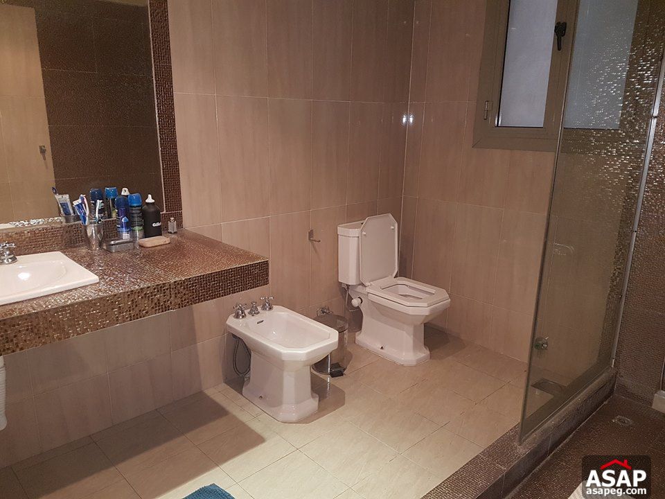 Apartments for Rent in Zamalek Apartments for Rent in Zamalek