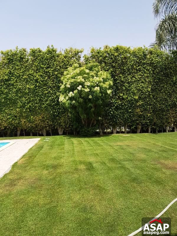 Villa for Rent in Katameya Heights Villa for Rent in Katameya Heights