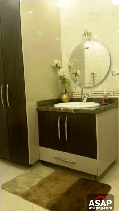 Furnished Apartment with Big Terrace for Rent in Zamalek Furnished Apartment with Big Terrace for Rent in Zamalek