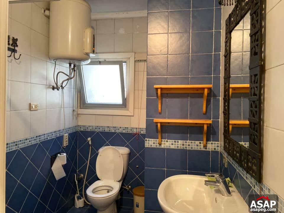 Apartment for Rent in Zamalek Apartment for Rent in Zamalek