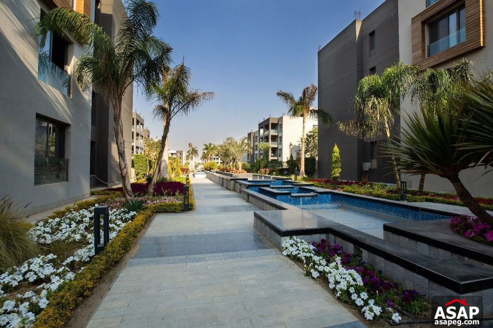 Apartment with Pool for Rent in Silver Palm Compound