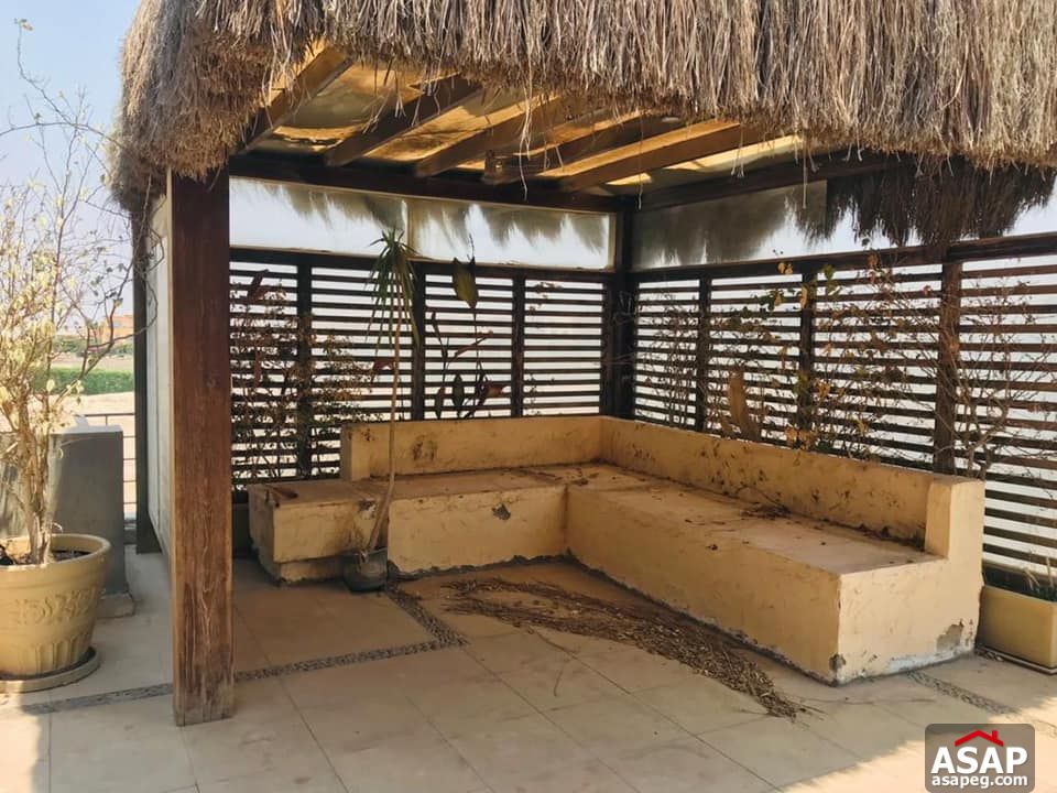 Penthouse for Rent in Bamboo Palm Hills Penthouse for Rent in Bamboo Palm Hills