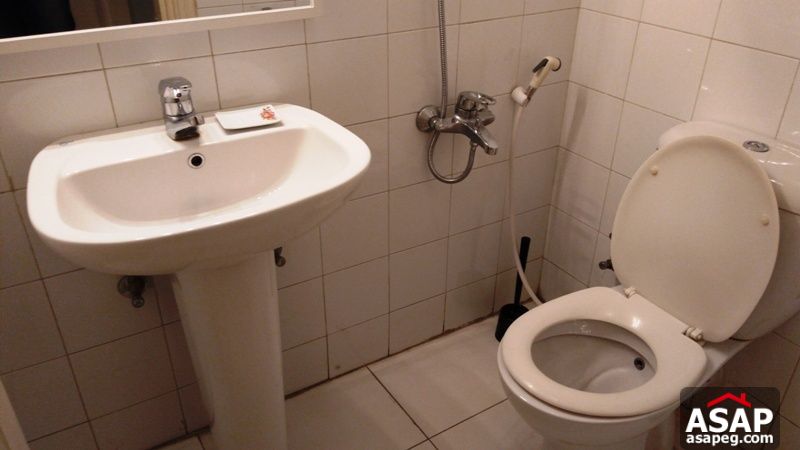 Furnished Apartment with Terrace in Zamalek for Rent Furnished Apartment with Terrace in Zamalek for Rent