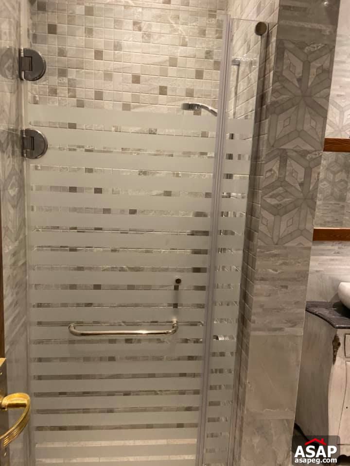 Apartment for Rent in Zamalek Apartment for Rent in Zamalek