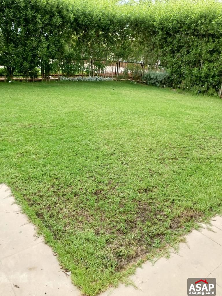 Duplex with Garden for Rent in Eastown Compound