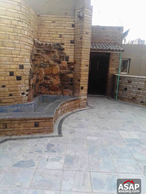 Apartment with Big Roof for Rent in Zamalek Apartment with Big Roof for Rent in Zamalek
