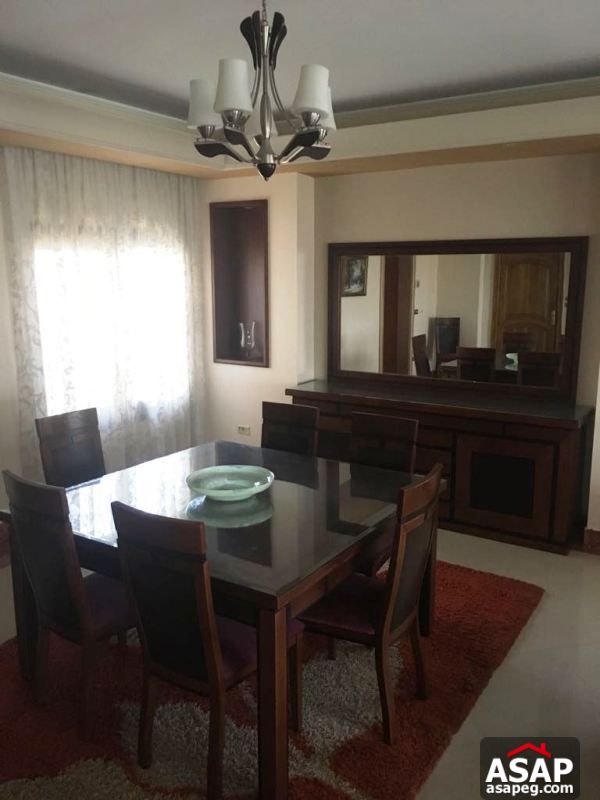 Furnished Apartment with Nile View in Dokki
