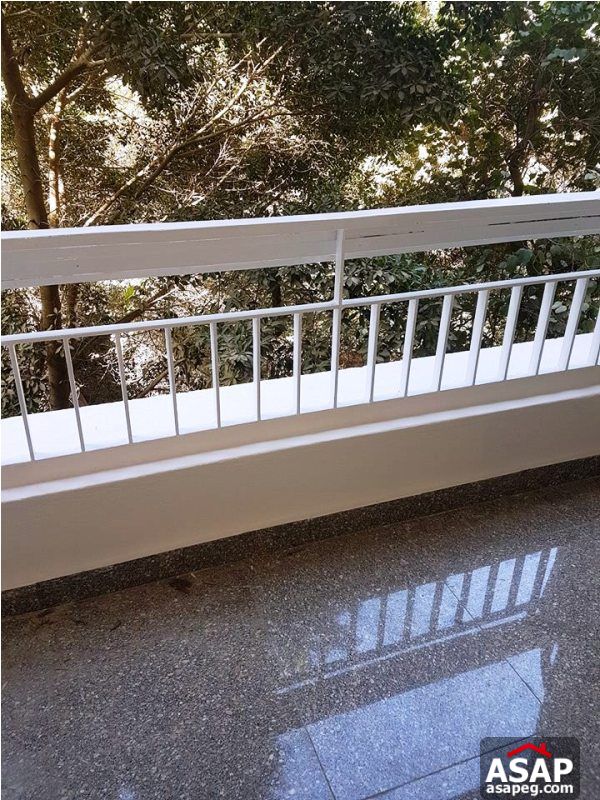 Apartment for Rent in Zamalek