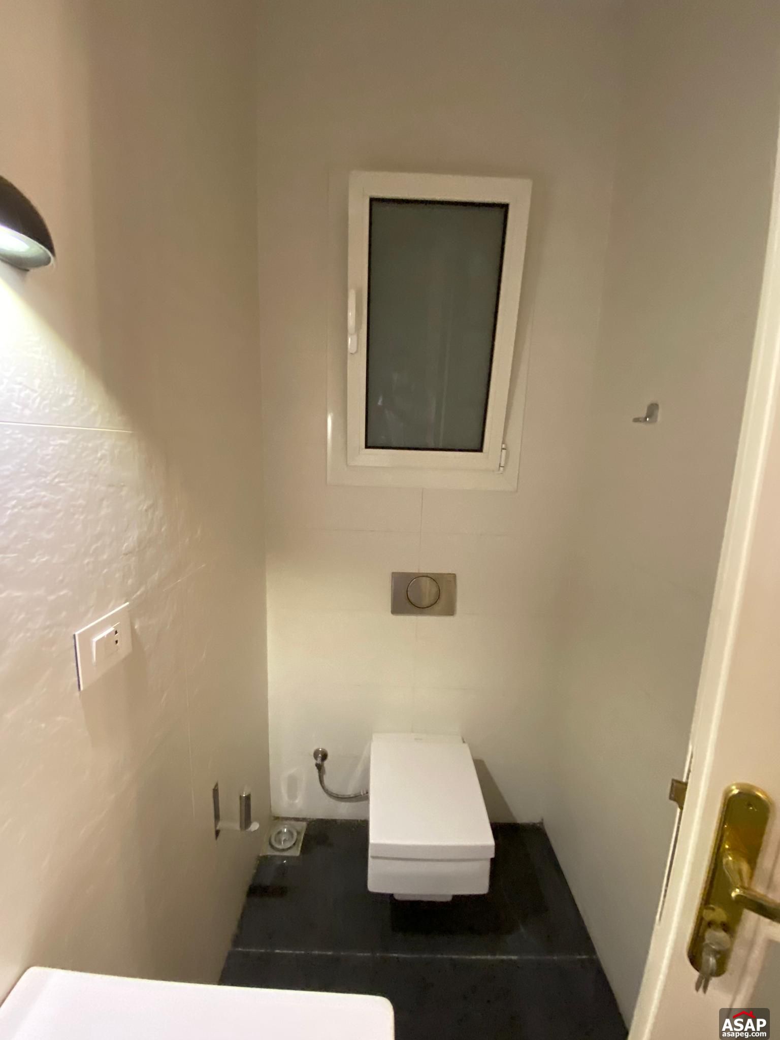 Apartment for Rent in Zamalek Apartment for Rent in Zamalek