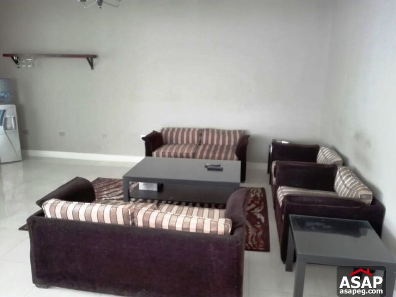 Furnished Apartment for rent in Mohandiseen