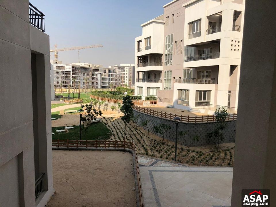 Rent Semi Furnished Apartment in New Cairo Rent Semi Furnished Apartment in New Cairo