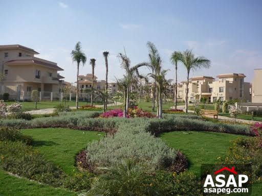 Villa for Sale in Flower Park Compound Villa for Sale in Flower Park Compound