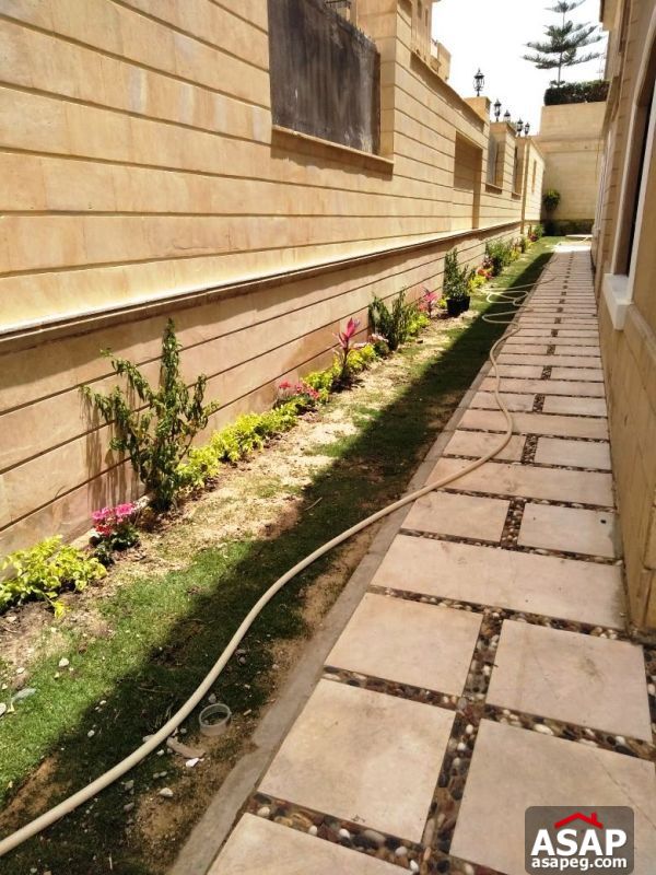 Villa with Pool for Rent in Deplomatic - New Cairo