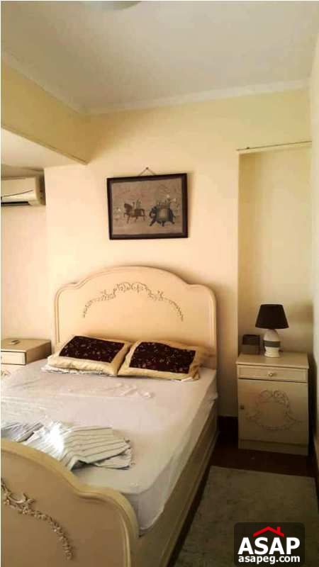 Furnished Flat for Rent in Zamalek Furnished Flat for Rent in Zamalek