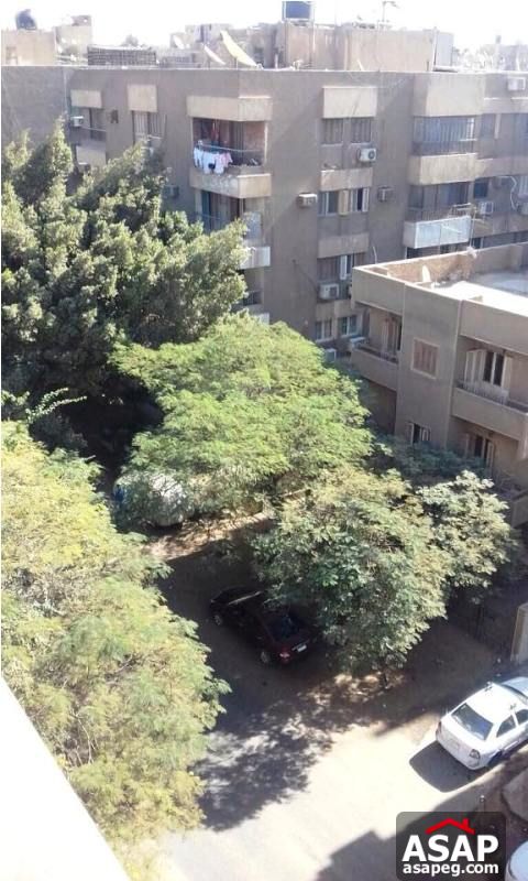 Furnished Duplex in Maadi for Rent Furnished Duplex in Maadi for Rent