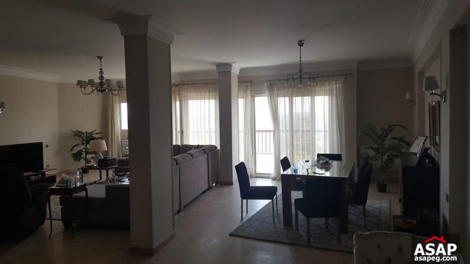Apartment with Nile View for Sale in Zamalek Apartment with Nile View for Sale in Zamalek
