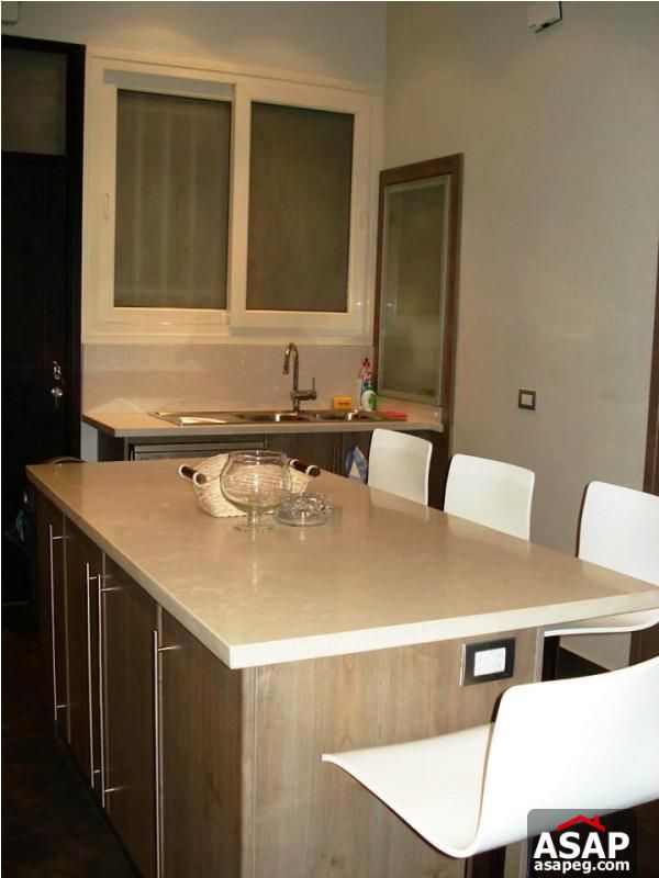 Furnished Apartment for Rent in Zamalek