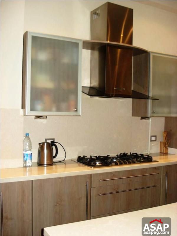 Apartment with Nice Balcony for Rent in Zamalek Apartment with Nice Balcony for Rent in Zamalek