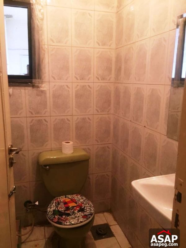 Furnished Apartment in Agouza for Rent Furnished Apartment in Agouza for Rent