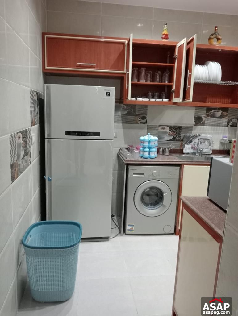 Furnished Apartment in Lake View Residence Furnished Apartment in Lake View Residence